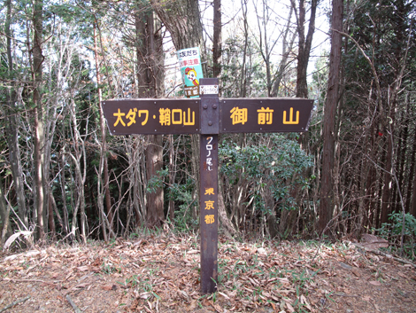20171116hike (204)